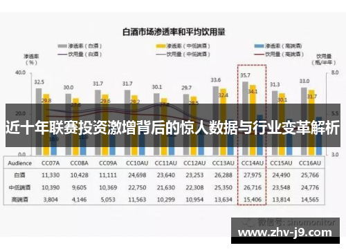 近十年联赛投资激增背后的惊人数据与行业变革解析